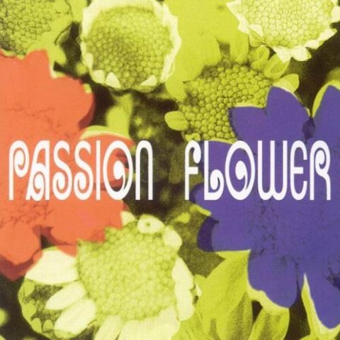 T-Square - Passion Flower (2005)