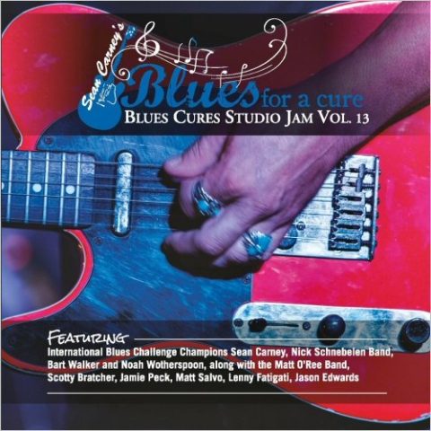 VA - Sean Carney's Blues For A Cure: Blues Cures Studio Jam, Vol. 13 (2022)