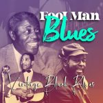 VA - Fool Man Blues (Vintage Black Blues) (2022)