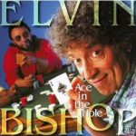 Elvin Bishop - Ace In The Hole (1995)