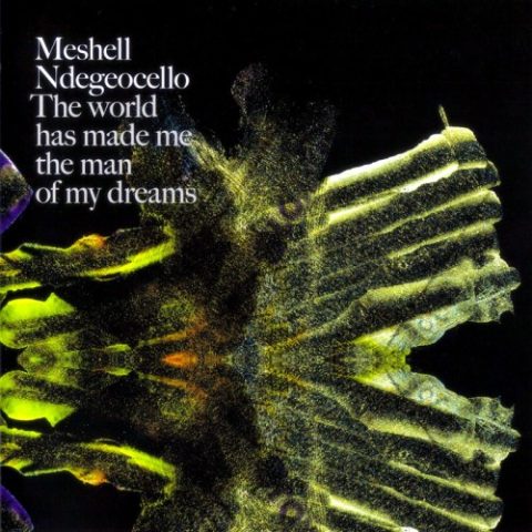 Me'Shell NdegéOcello - The World Has Made Me The Man Of My Dreams (2007)