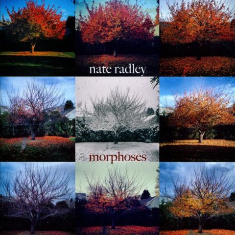Nate Radley - Morphoses (2014)
