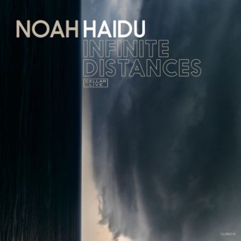 Noah Haidu - Infinite Distances (2017)