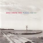 Brad Shepik Trio - Places You Go (2007)