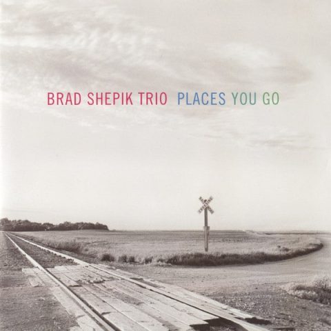 Brad Shepik Trio - Places You Go (2007)