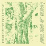 Fruit Distro Collective - Some Kind Of Wisdom (2022)