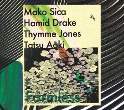 Mako Sica with Hamid Drake, Thymme Jones, Tatsu Aoki - Formless (2022)