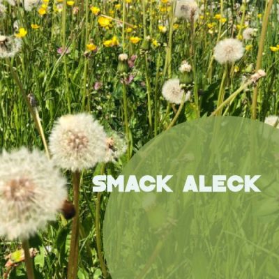 Smack Aleck - Unavoidable (2022)