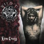 Wild 'T' And The Spirit - Love Crazy (1991)