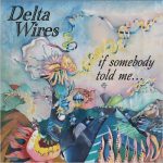 Delta Wires - If Somebody Told Me (2023)