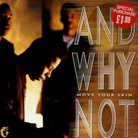 And Why Not? - Move Your Skin (1990)