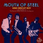 King Biscuit Boy with The Ronnie Hawkins Band - Mouth Of Steel (1984)