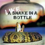 Like a Snake in a Bottle - Like a snake in a bottle (2023)