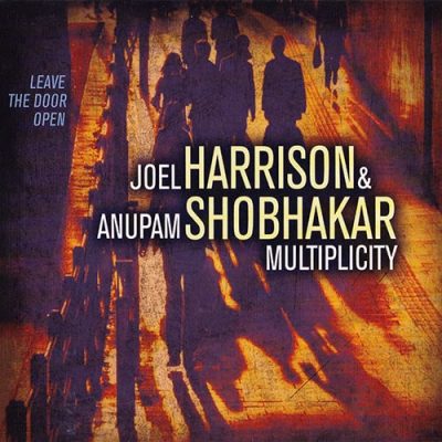 Joel Harrison and Anupam Shobhakar Multipilicity - Leave the Door Open (2014)