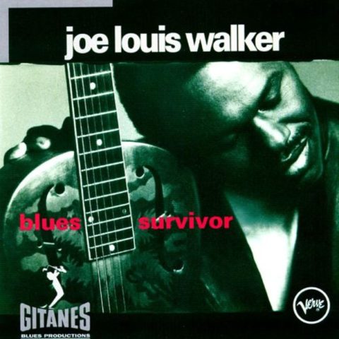 Joe Louis Walker - Blues Survivor (1993)