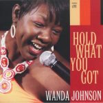 Wanda Johnson - Hold what you got (2008)
