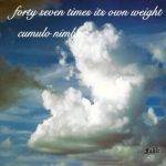 Forty Seven Times Its Own Weight - Cumulo Nimbus (1975)
