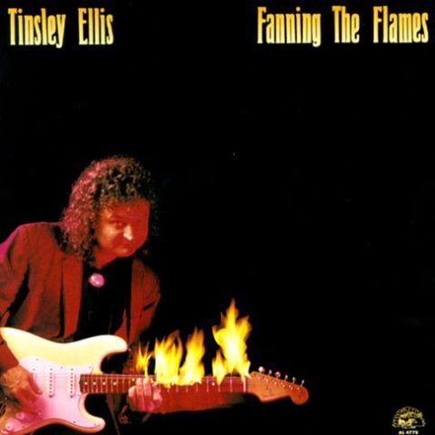 Tinsley Ellis - Fanning The Flames (1989)