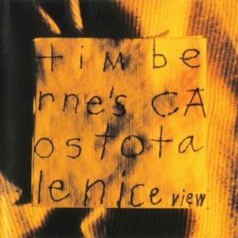 Tim Berne's Caos Totale - Nice View (1994)