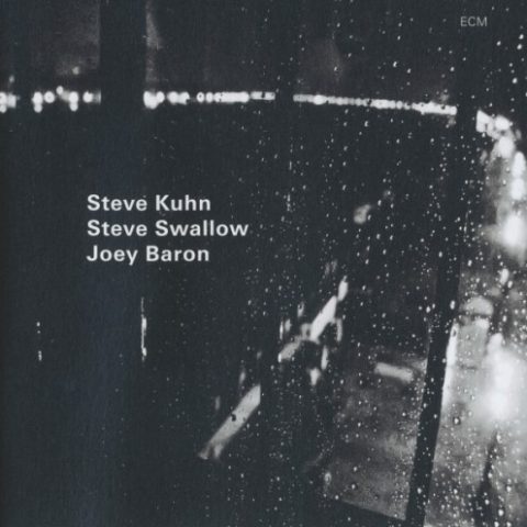 Steve Kuhn Trio - Wisteria (2012)