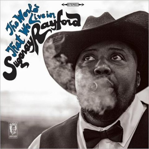 Sugaray Rayford - The World That We Live In (2017)