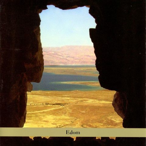 Eyal Maoz - Edom (2005)