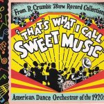 VA - 'That's What I Call Sweet Music': American Dance Orchestras of the 1920s (2000)