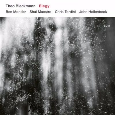 Theo Bleckmann - Elegy (2017)