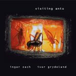 Ingar Zach & Ivar Grydeland - Visiting Ants (2000)