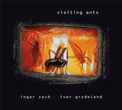 Ingar Zach & Ivar Grydeland - Visiting Ants (2000)