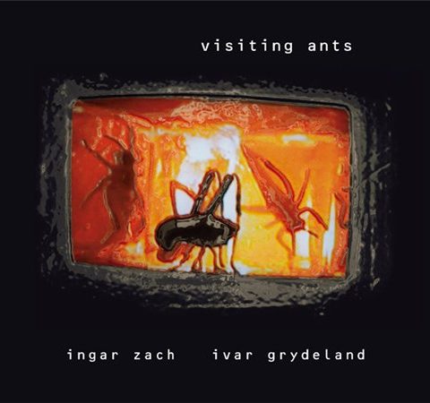 Ingar Zach & Ivar Grydeland - Visiting Ants (2000)