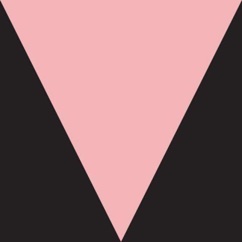 Meshell Ndegeocello - Ventriloquism (2018)