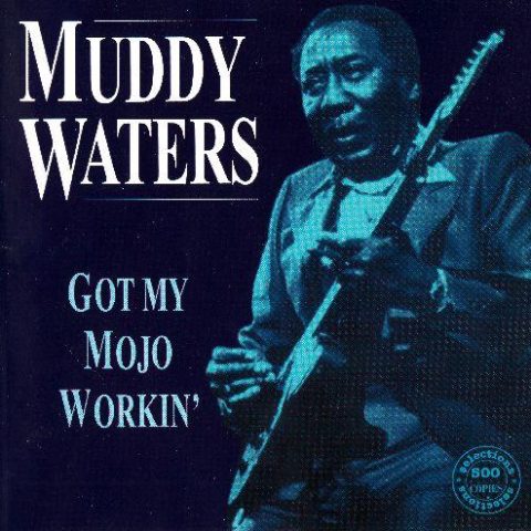 Muddy Waters - Got My Mojo Workin' (1994)