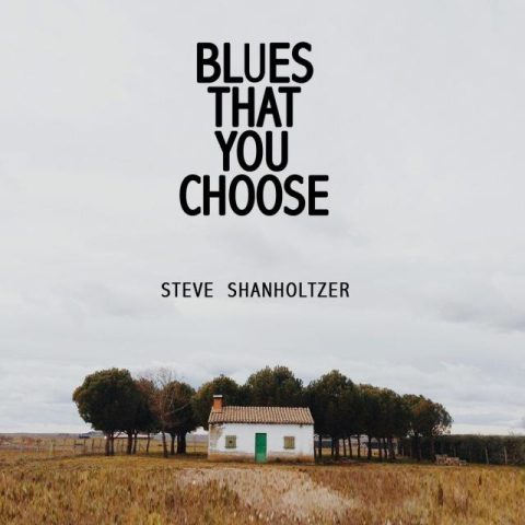 Steve Shanholtzer - Blues That You Choose (2021)