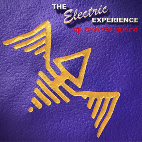 The Electric Experience - Up From The Ground (2009)