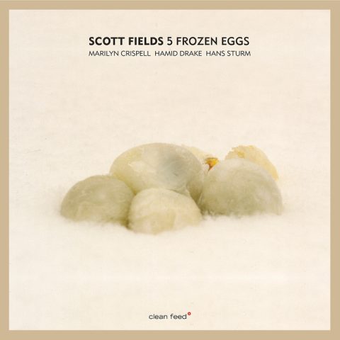 Scott Fields - 5 Frozen Eggs (1997/2012)