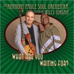 The Anthony Paule Soul Orchestra - What Are You Waiting For? (2024)