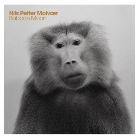 Nils Petter Molvaer - Baboon Moon (2011)