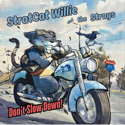 Stratcat Willie & The Strays - Don't Slow Down! (2025)