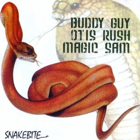 Buddy Guy, Otis Rush, Magic Sam - Snakebite (2009)