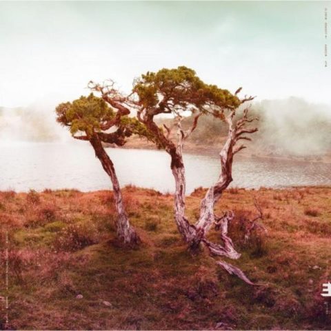 Slowly Rolling Camera - Juniper (2018)