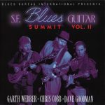 Garth Weber, Chris Cobb, Dave Goodman - S.F. Blues Guitar Summit Vol. II (1993)