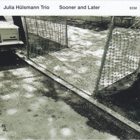 Julia Hulsmann Trio - Sooner and Later (2017)