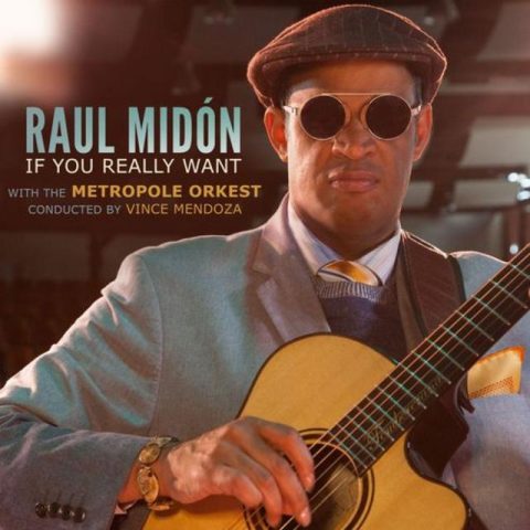 Raul Midón - If You Really Want (2018)