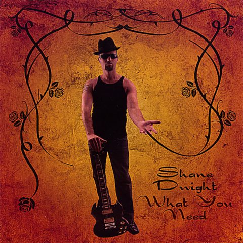 Shane Dwight - What You Need (2007)