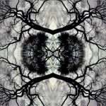 Adam Rudolph / Go: Organic Orchestra - Sonic Mandala (2013)