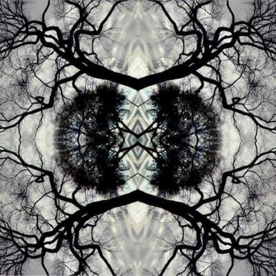 Adam Rudolph / Go: Organic Orchestra - Sonic Mandala (2013)