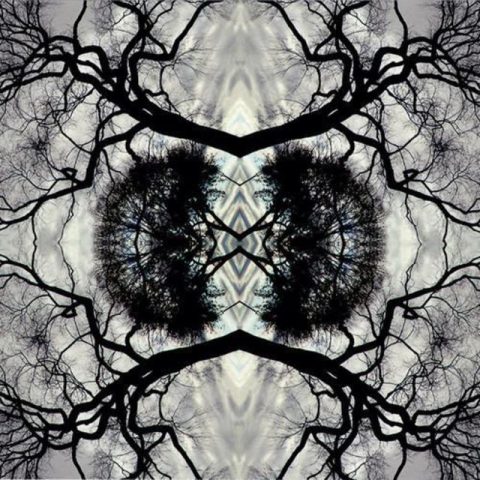 Adam Rudolph / Go: Organic Orchestra - Sonic Mandala (2013)