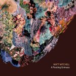 Matt Mitchell - A Pouting Grimace (2017)