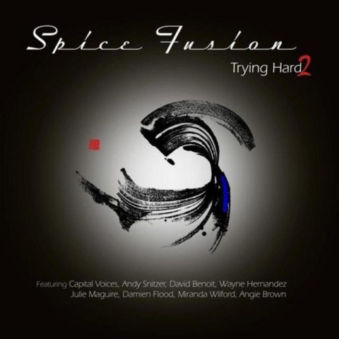 Spice Fusion - Trying Hard 2 (2018)